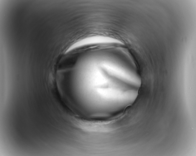 X0000088440040200706051256