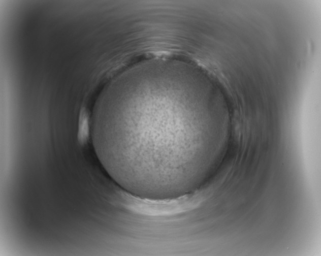 X0000088440042200706051256