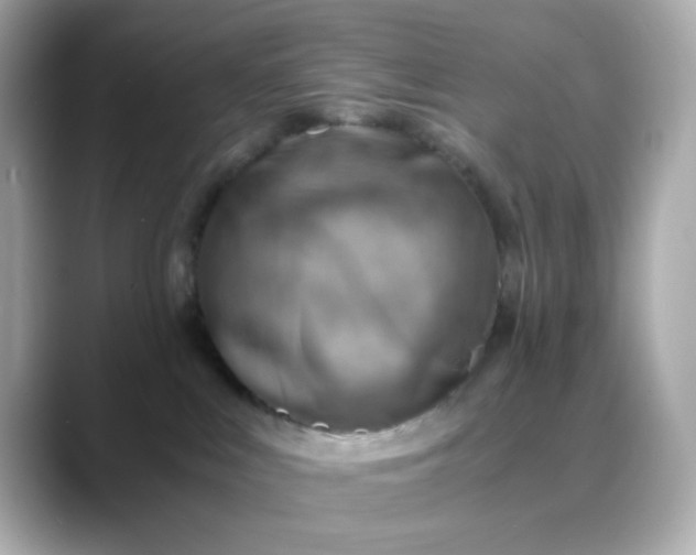 X0000088440043200706051256
