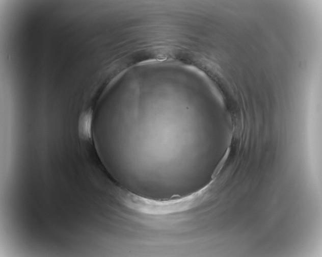 X0000088440047200706051256