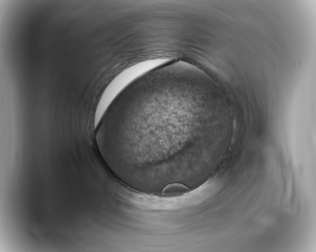 X0000088440048200706051256