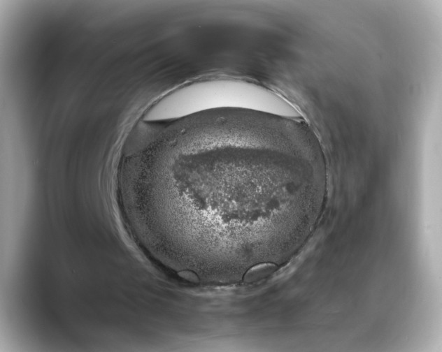 X0000088440049200706051255