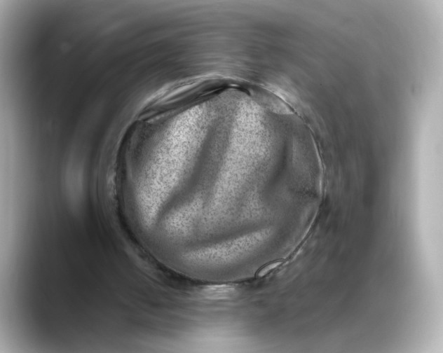 X0000088440050200706051255
