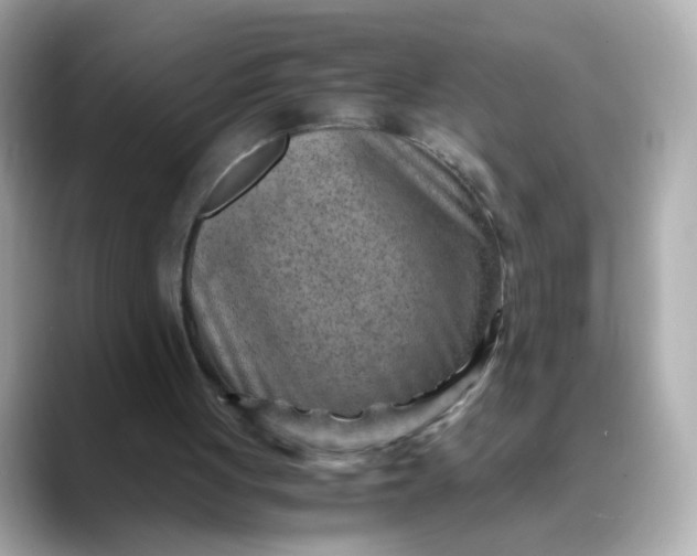 X0000088440051200706051255