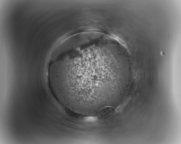 X0000088440053200706051255