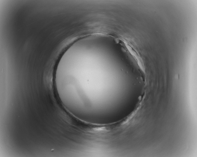 X0000088440054200706051255