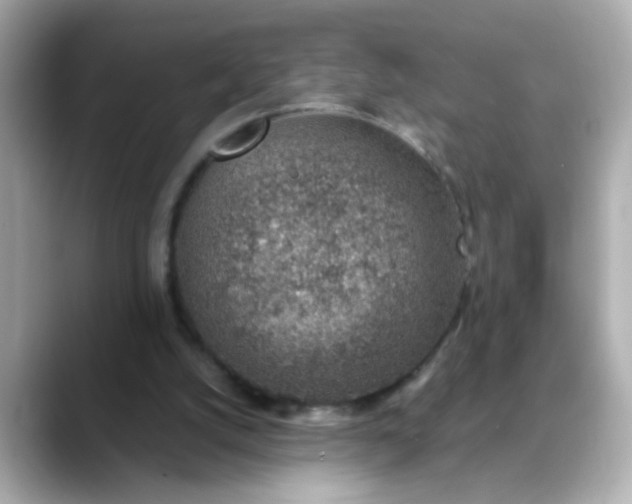X0000088440056200706051255