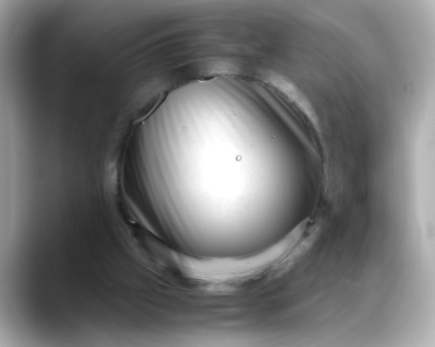 X0000088440057200706051255