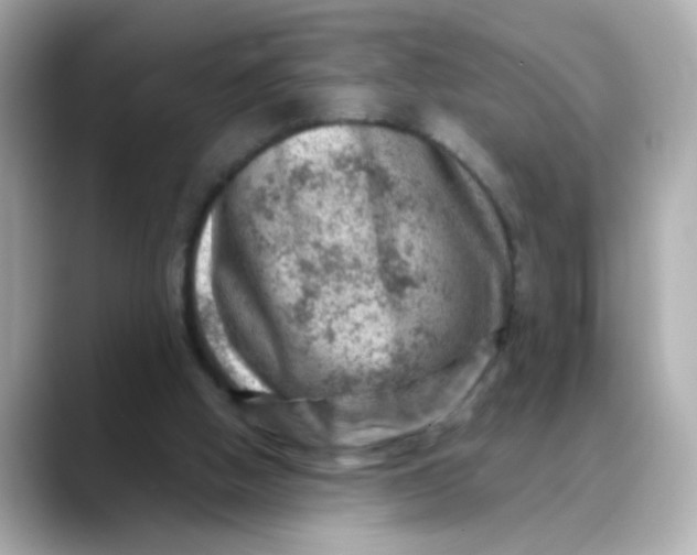 X0000088440058200706051255