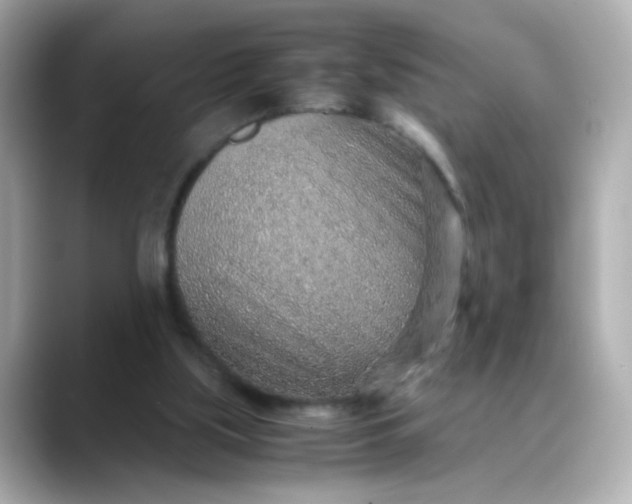X0000088440059200706051255