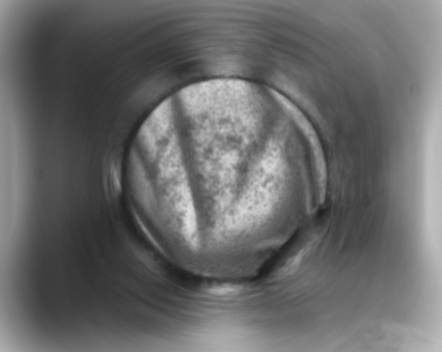 X0000088440062200706051255