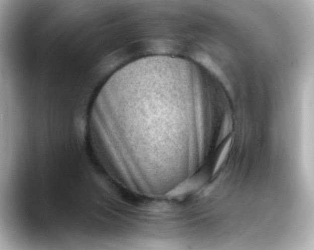 X0000088440063200706051255