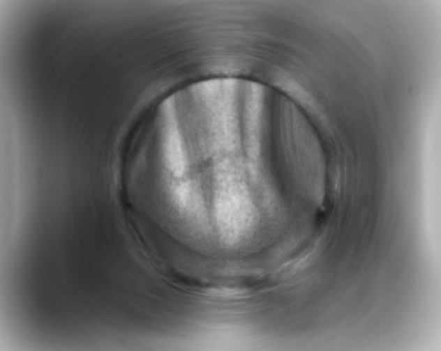 X0000088440064200706051255
