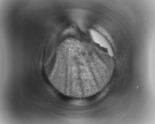 X0000088440065200706051255
