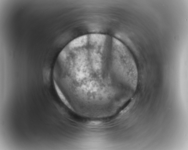 X0000088440066200706051255