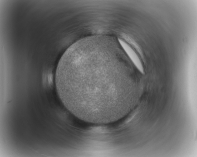 X0000088440067200706051255