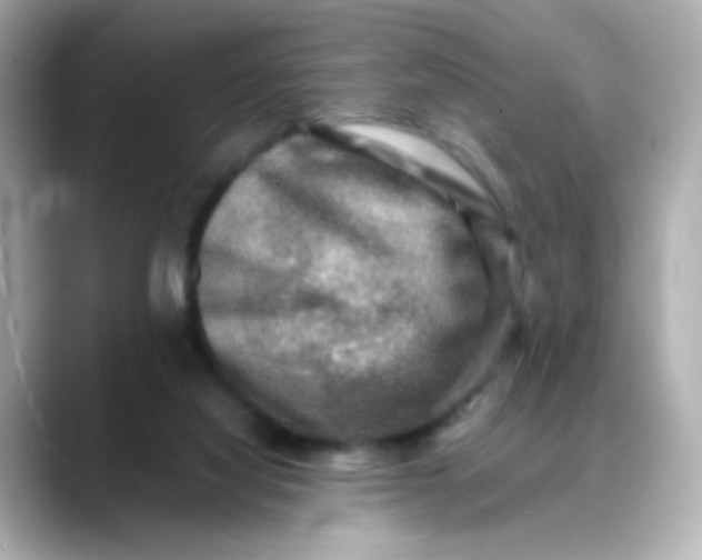 X0000088440068200706051255