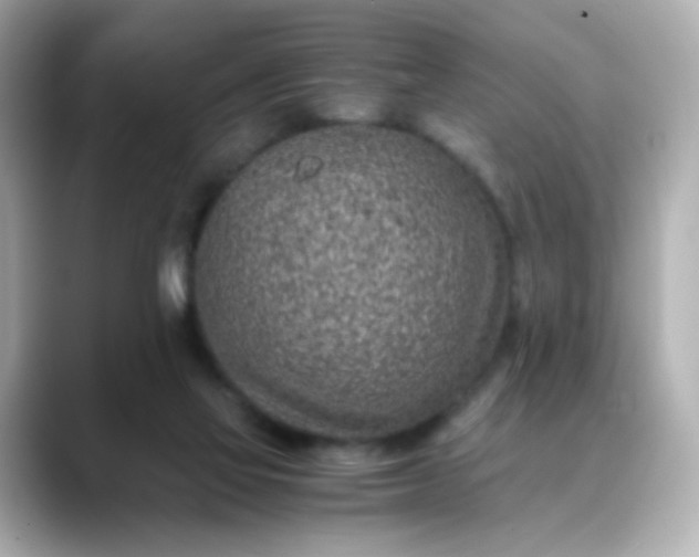 X0000088440069200706051255