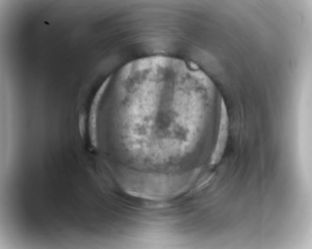 X0000088440070200706051255