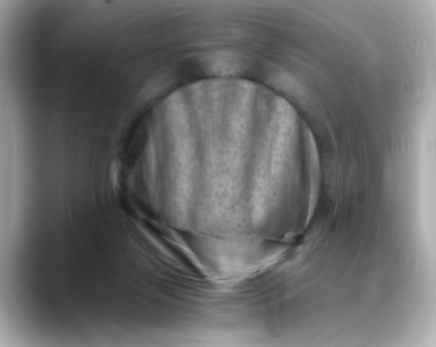 X0000088440071200706051255