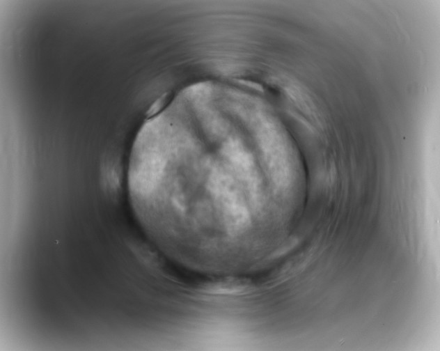 X0000088440072200706051255