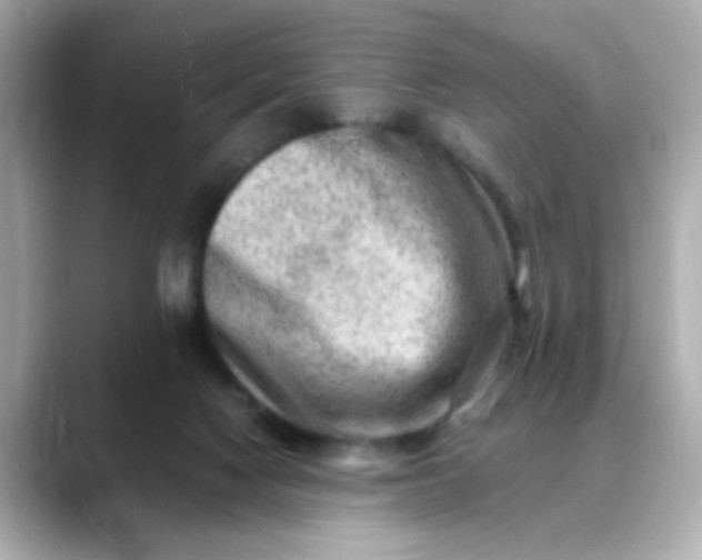 X0000088440074200706051256