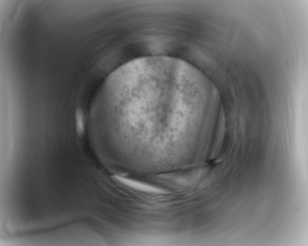 X0000088440075200706051256