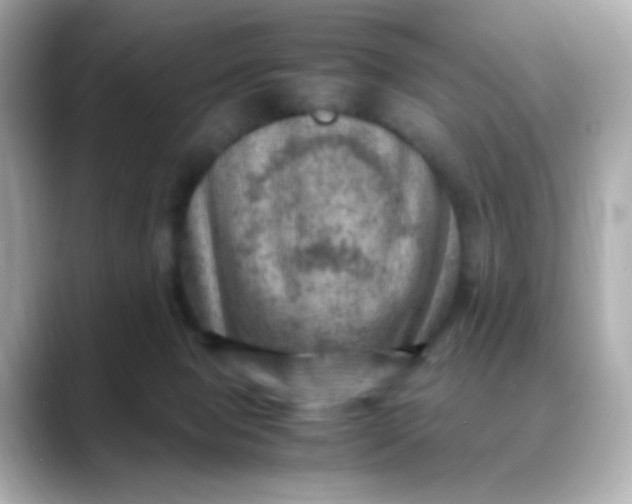 X0000088440077200706051256