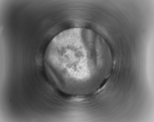 X0000088440078200706051256