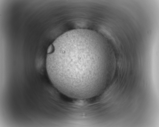 X0000088440079200706051256