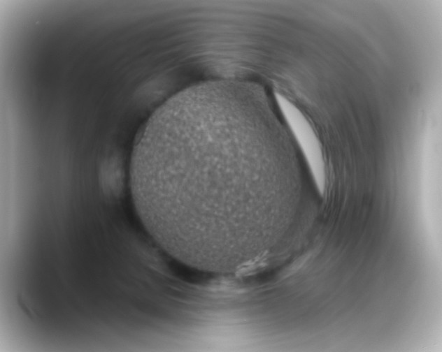 X0000088440080200706051256