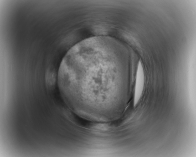 X0000088440081200706051256