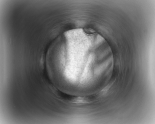 X0000088440082200706051256