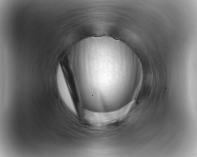 X0000088440084200706051256