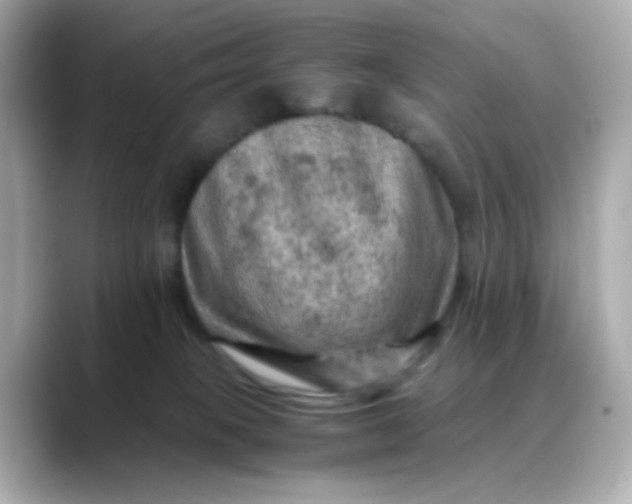 X0000088440085200706051256