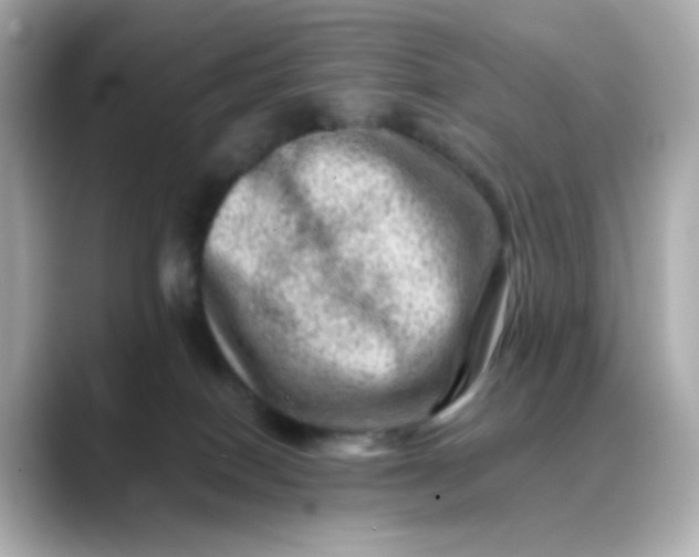 X0000088440086200706051256