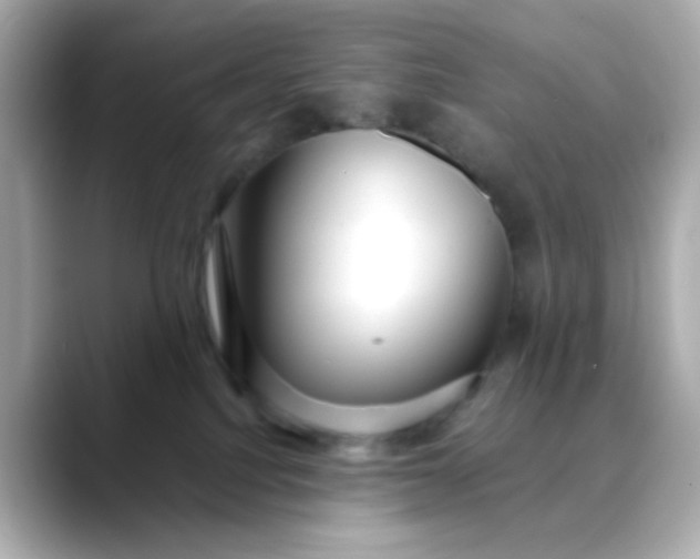 X0000088440088200706051256