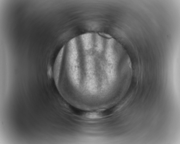 X0000088440089200706051256