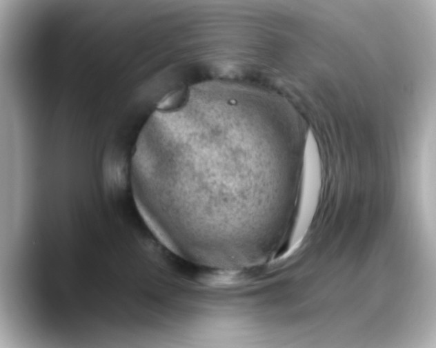 X0000088440090200706051256