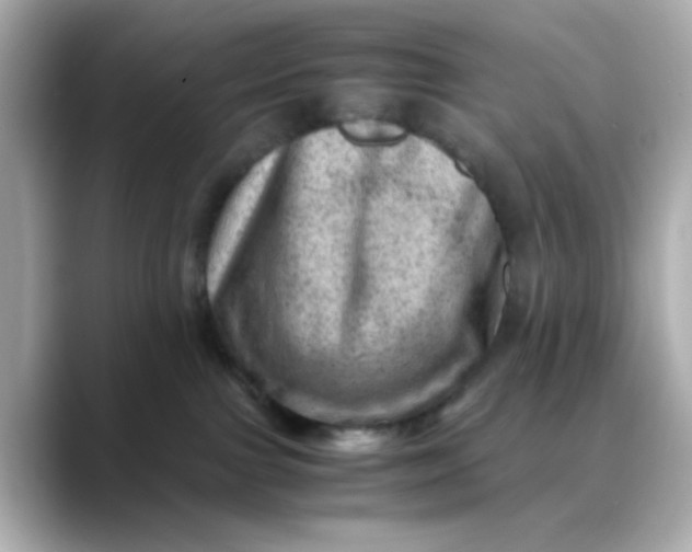 X0000088440091200706051256