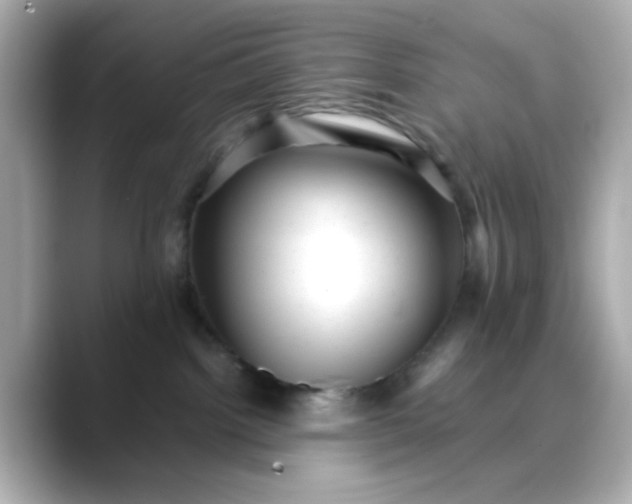 X0000088440092200706051256