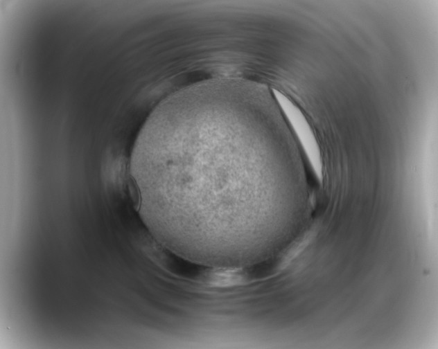 X0000088440093200706051256