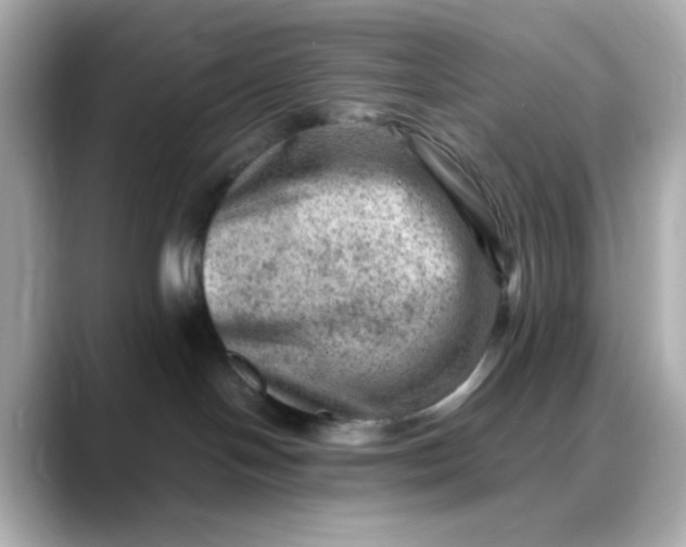 X0000088440094200706051256