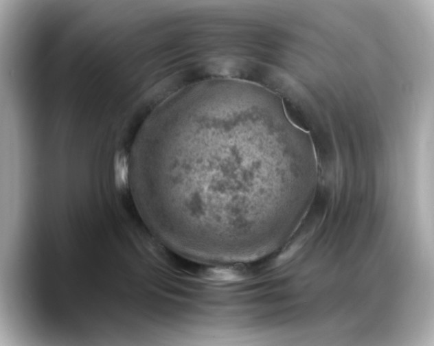 X0000088440095200706051256