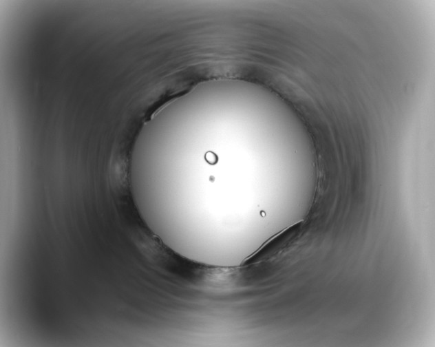 X0000088440096200706051256