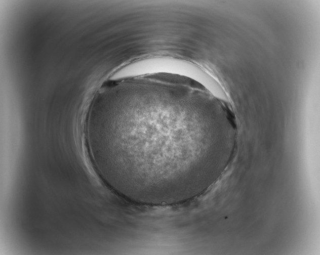 X0000088440097200706051255