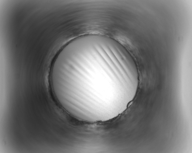 X0000088440098200706051255