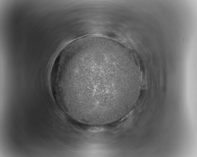 X0000088440099200706051255