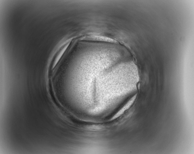 X0000088440102200706051255