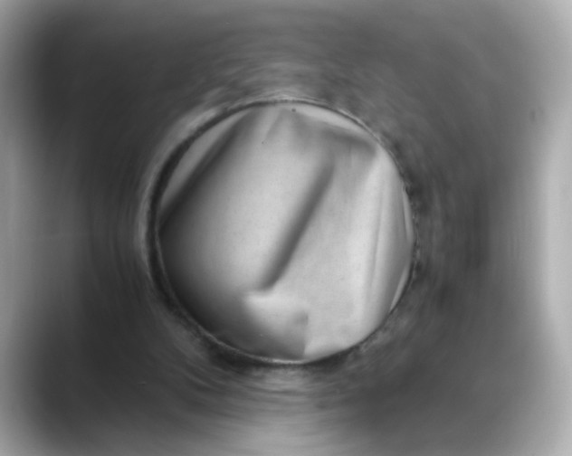 X0000088440104200706051255